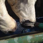 Mmm. Cool, cool water.